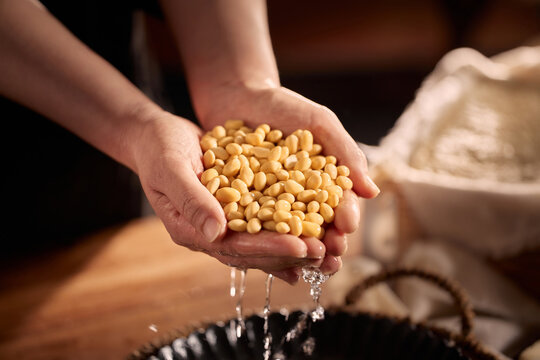 The Artisanal Process of Creating Tofu and Soy Milk by Hand,Grinding Soaked Soybeans with Stone Mill for Fresh Soy Milk