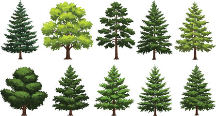 Collection of diverse green trees vector illustrations, various pine and deciduous trees, forest, nature, environment, landscape, isolated, seasonal foliage, natural beauty