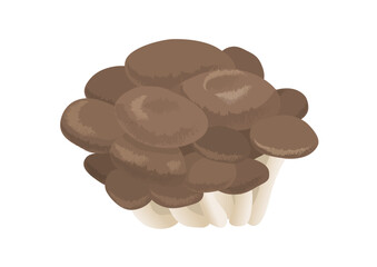 ヒラタケ きのこ 食べ物 イラスト ベクター