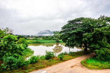 Close-up of natural atmosphere background of green rice fields, various grasslands next to mountains and natural streams flowing through. The beauty of Chiang Rai countryside.