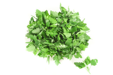 Fresh Green Leafy Vegetables Bundle Isolated on White Background