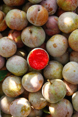 Freshly Picked Gutian Plums from Orchard Showing Red Interior Flesh