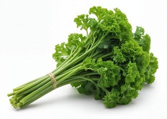 Fresh bunch of parsley isolated on a white background with visible curly leaves and green stem
