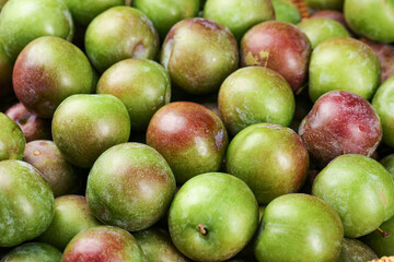Freshly Harvested Green and Red Plums - Fresh Stone Fruit Collection