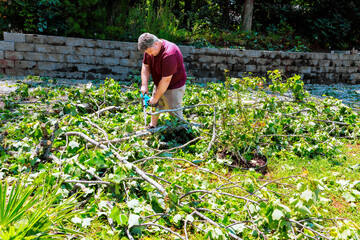 Worker is pruning fallen branches in garden after hurricane surrounded by foliage, stone...