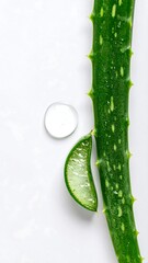Aloe Vera Leaf and Gel Drop
