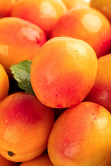 Fresh Xinjiang Apricots - Ripe Red Orange Stone Fruit with Leaves on Wood Background
