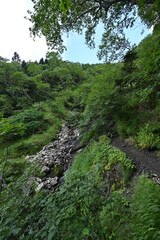 Climbing  Mount Senjogatake Yamanashi, Japan
