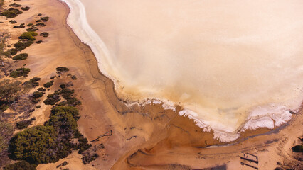 This aerial photograph captures the earthy tones of a salt lake's edge. Dry, cracked earth meets a pale, shimmering salt crust, fringed by sparse, hardy vegetation.
