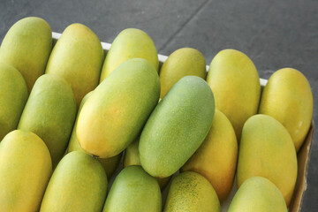 Fresh Green and Yellow Mangoes in Container - Tropical Fruit Harvest Display