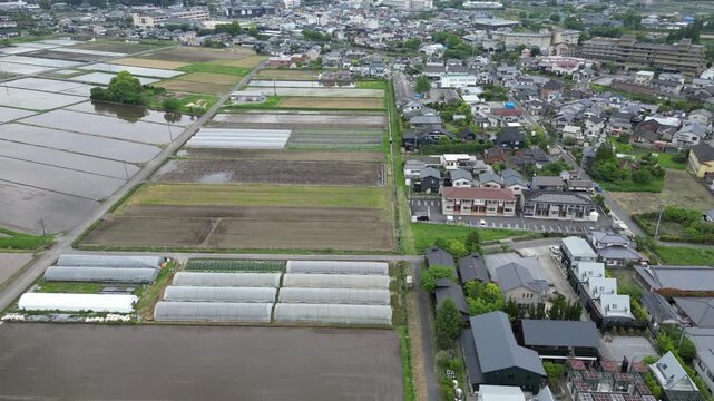 May 15 2024 rice field from Yufuin town, Oita Prefecture, Kyushu, Japan