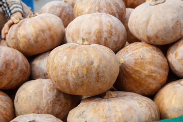 Fresh Organic Pumpkins Stacked at Farmers Market - Autumn Harvest Vegetables Display