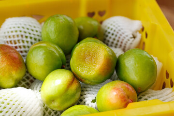 Fresh Green Skinned Apricots and Pears in Protective Packaging Display