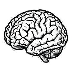 A detailed handdrawn illustration of a human brain in a black and white vintage woodcut style.