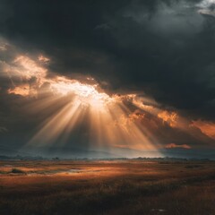 radiant sun beams over landscape