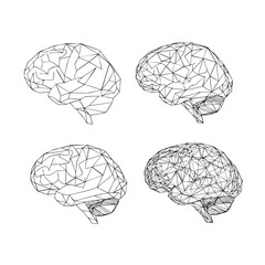 A set of four human brains illustrated in a black and white polygonal wireframe style.