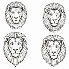 Collection of four powerful male lion head illustrations in a black and white sketch style.
