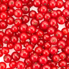 Fresh red currants close-up