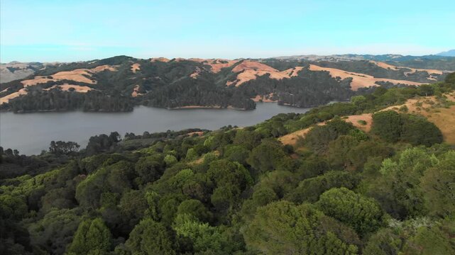 A scenic view of San Pablo Reservoir, Berkeley, California, USA. Rolling hills meet the water, with green trees in the foreground and golden grass on the hillsides.