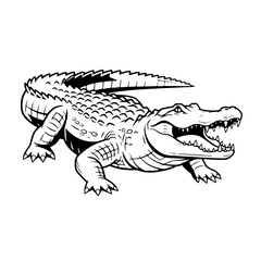 crocodile on a white and black concept