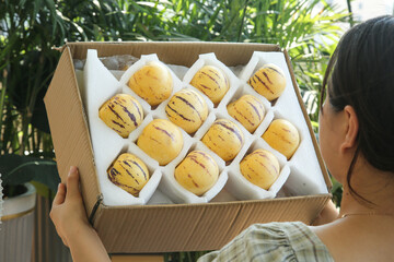 Fresh Pepino Melons in Box - Yellow Striped Tropical Fruit Harvest