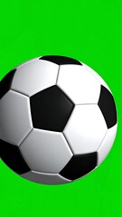 Obraz premium Classic black and white soccer ball