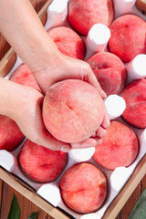 Fresh Reddish Peaches Being Hand-Picked from Wooden Crate - Quality Fruit Selection