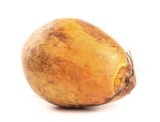 Fresh Golden Coconut from Hainan - Tropical Fruit with Natural Husk Ready to Shell