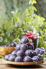 Freshly Picked Purple Plums with Red Flesh in Bamboo Basket - Organic Shanhua Fruit Harvest