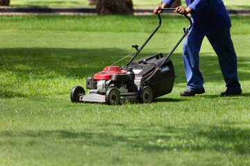 african american gardener with a lawnmower pushing on the green grass, cutting trimming the grass...