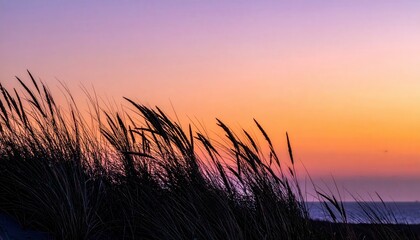 Dune grass silhouettes at twilight gradient sky wallpaper representing natural coastal detail suitable for atmospheric seascape design