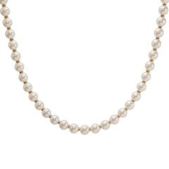 Elegant white and yellow pearl necklace close up transparent background