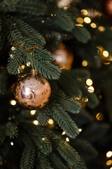 Close up of Christmas tree branch with golden bauble and glowing lights, blurred background. Studio shot, festive decoration. Concept Christmas, New Year, holiday card, banner, winter celebration.