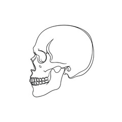 A minimalist single line art illustration of a human skull in profile view.
