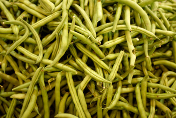 fresh green beans