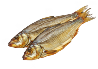 Two dried fish presented artistically with detailed texture and natural tones