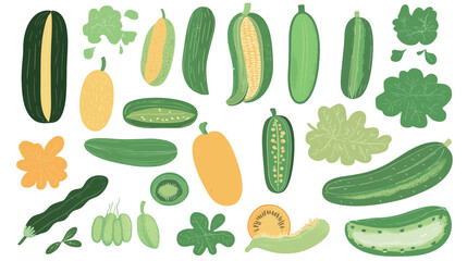 Cucumber – Vector Graphic Design