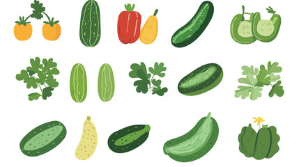 Cucumber – Vector Graphic Design