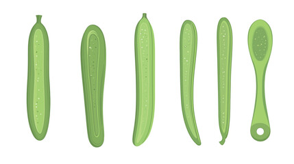 Cucumber – Vector Graphic Design