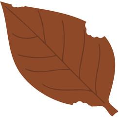 vector illustration of a leaf