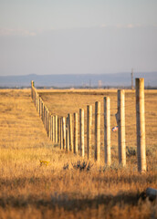 Wooden fence in large Wyoming land