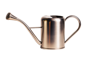 Elegant stainless steel watering can for indoor gardening.