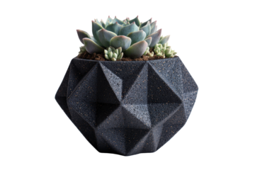 A beautiful succulent plant in a modern dark geometric planter pot.