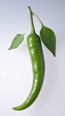 Green chili pepper with leaves
