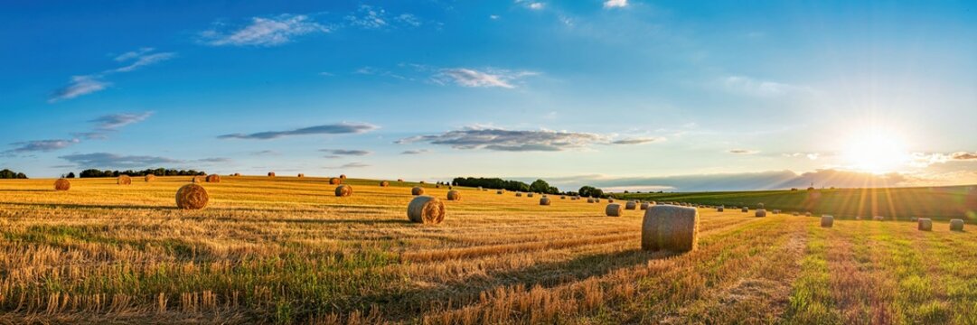 rural landscape, rolling hills, golden wheat field, hay bales, scenic sunset, blue sky, fluffy clouds, warm lighting, serene countryside, panoramic view, horizon, picturesque farmland
