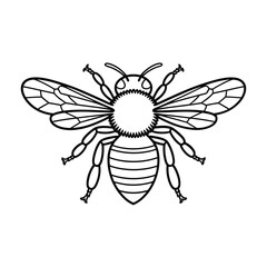 Simple line drawing of a honey bee insect
