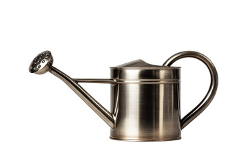 Classic bronze metal watering can for gardening.