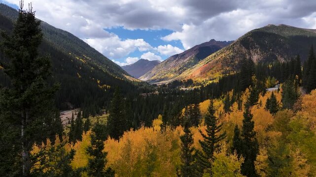 Autumn Colors, Yellow Aspens in the Rocky Mountains in Southwest Colorado Aerial