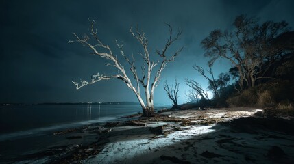 Dramatic night scene of dead trees on a quiet beach with striking shadows and atmospheric lighting creating a mysterious coastal landscape under the dark sky