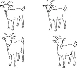 Goat coloring page vector, farm animal outline drawing, domestic goat illustration for kids, black and white goat sketch, printable artwork